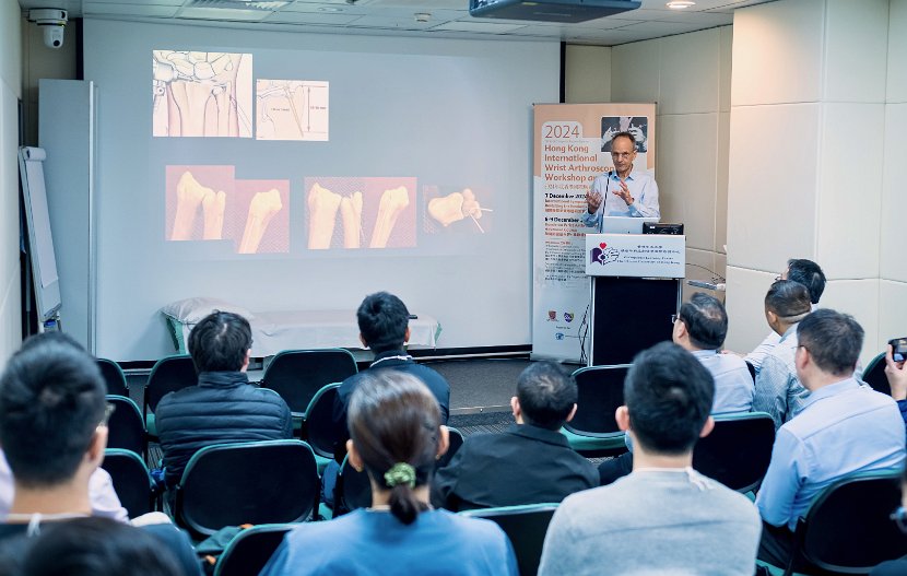 HK Wrist Course 2024 - Workshops  - 29 of 241
